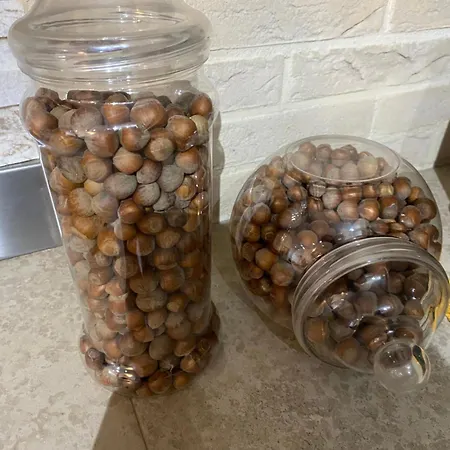 شقة Family Riese